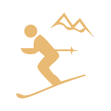 Иконка лыж